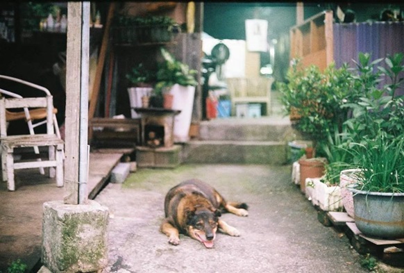 圖片標題:01