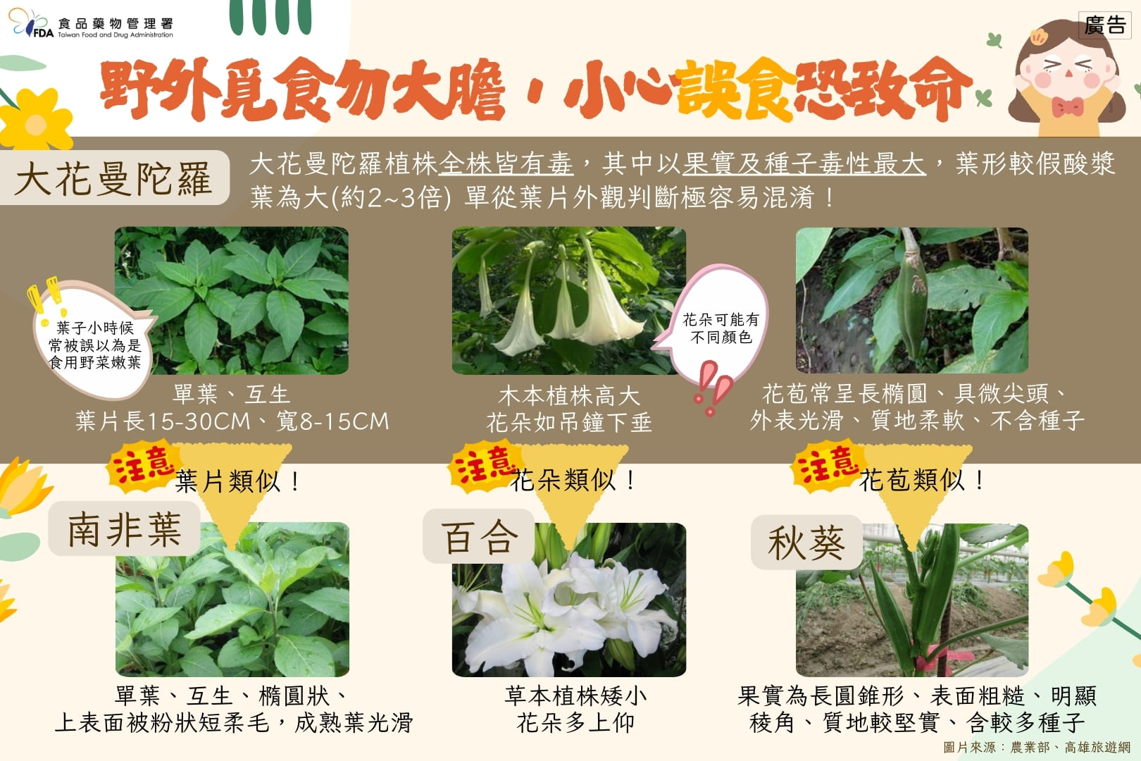 圖片標題:1
