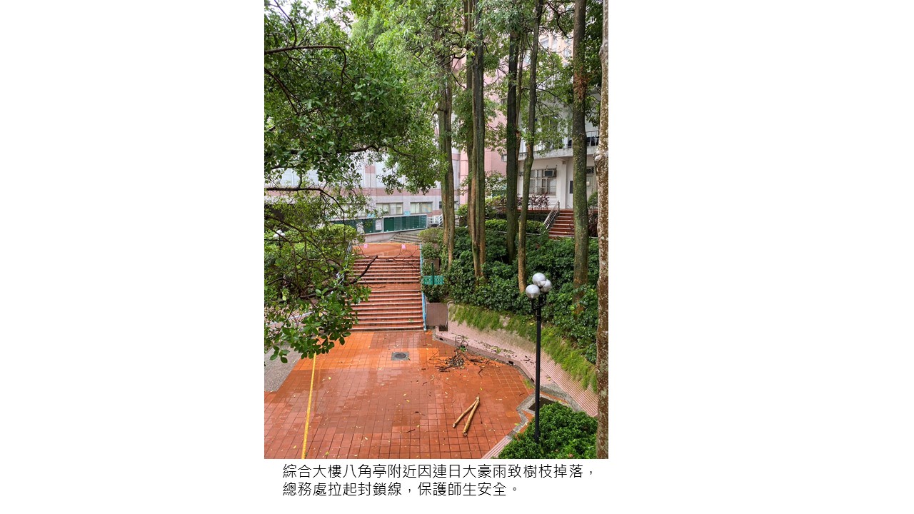 圖片標題:投影片3