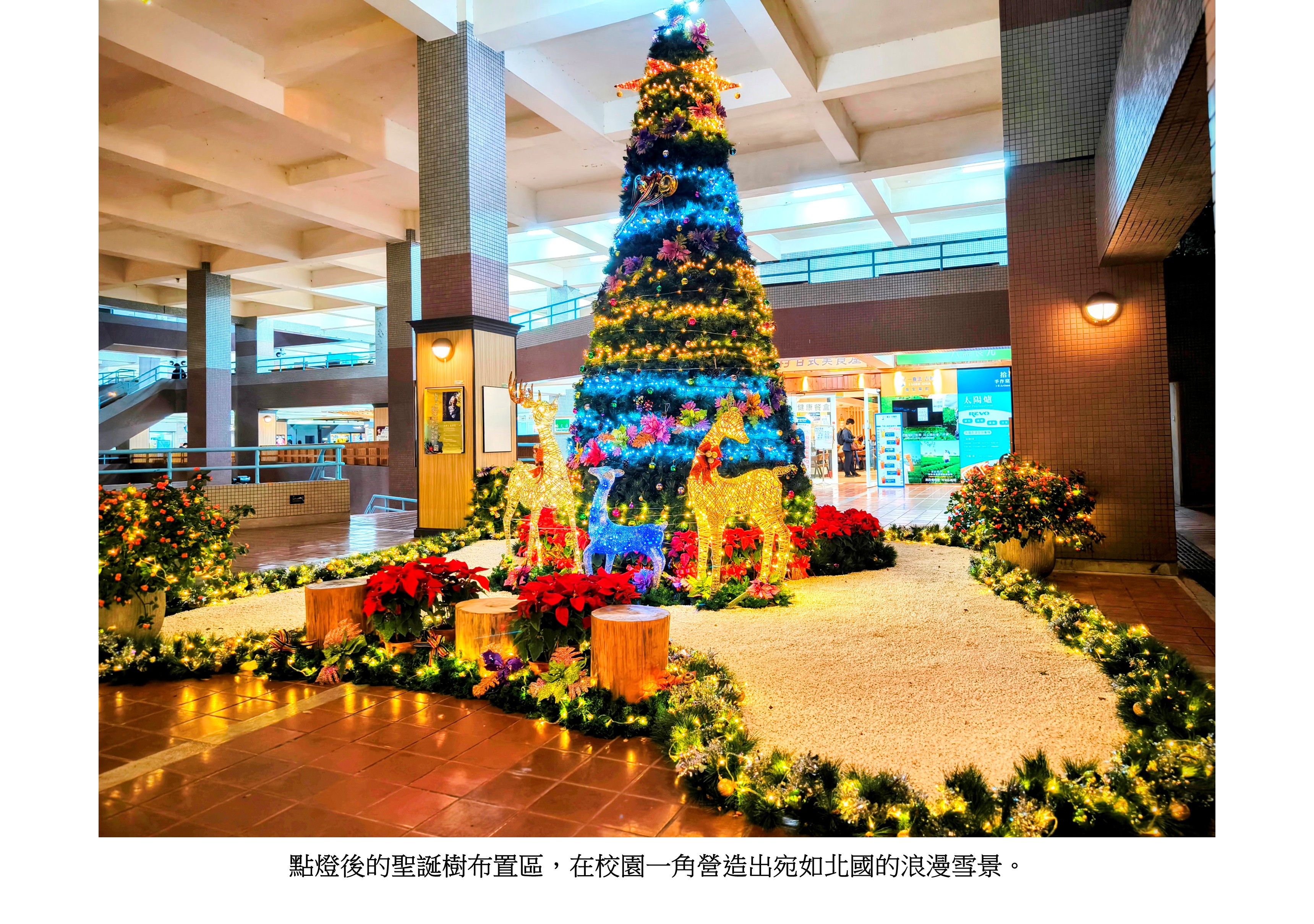 圖片標題:冬日聖誕暖光3