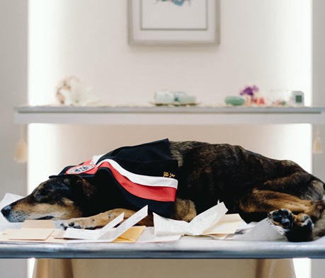 圖片標題:57618288_1031929973663373_3823464021013561344_n