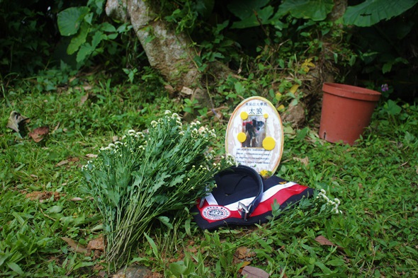 圖片標題:IMG_8600