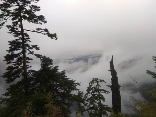 圖片標題:S__32850121