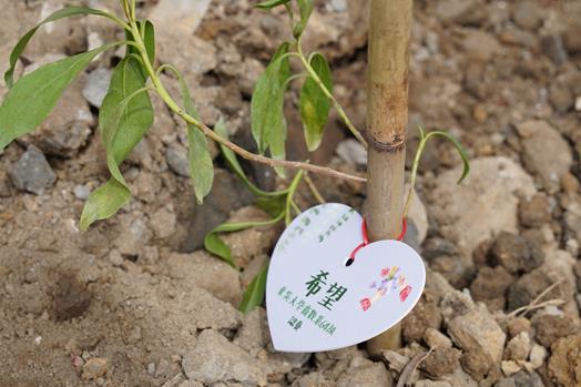 圖片標題:圖四：校友們種下守護未來環境的小樹苗 (Copy)