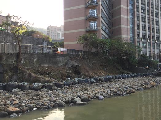 圖片標題:S__12795926 (Copy)