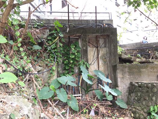 圖片標題:S__12820520 (Copy)