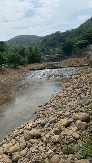 圖片標題:S__71933990 (Copy)