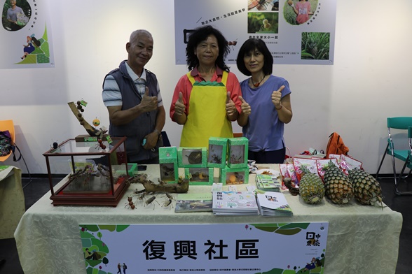 圖片標題:6-復興社區