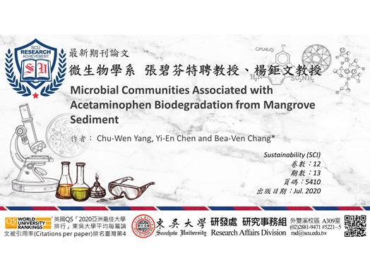 圖片標題:20200811研究組(橫)_首頁用圖