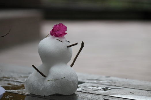 圖片標題:05 花瓣小雪人