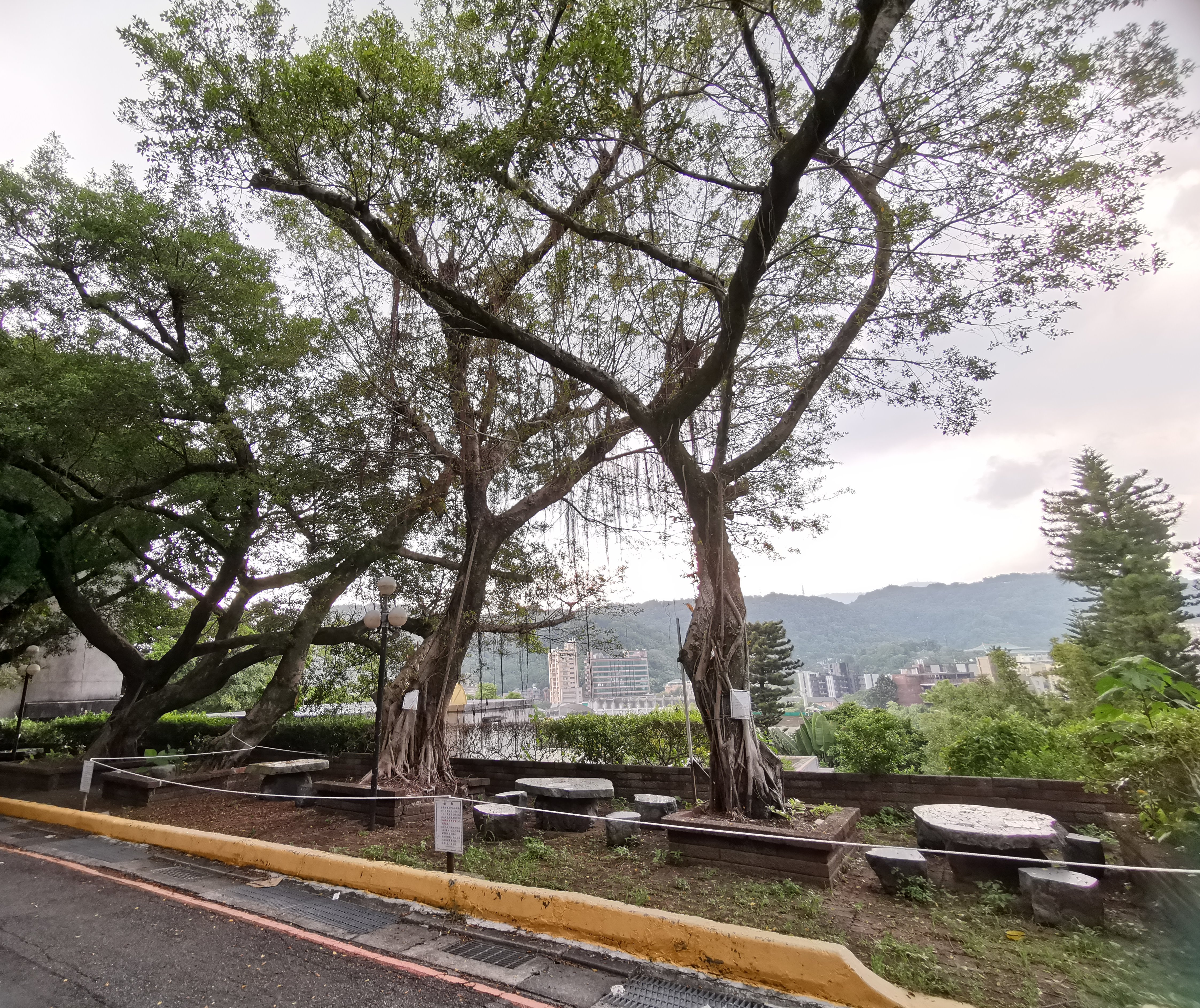 圖片標題:封面照片