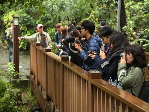 圖片標題:8cab5a5fdb2682ec40f5aa9d4bb080c0f756f425