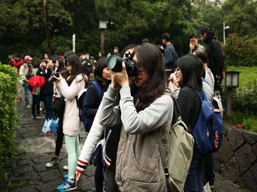 圖片標題:e059cabddbd2f189289e19a530afb7c11ef85a42