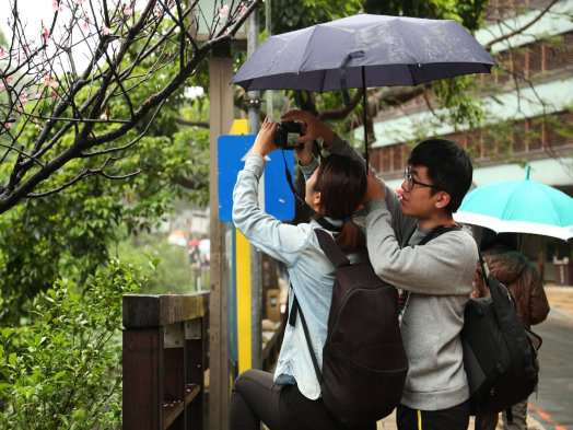 圖片標題:1afa2f84fc333c132da7c0cfb5edeb640e8122c1