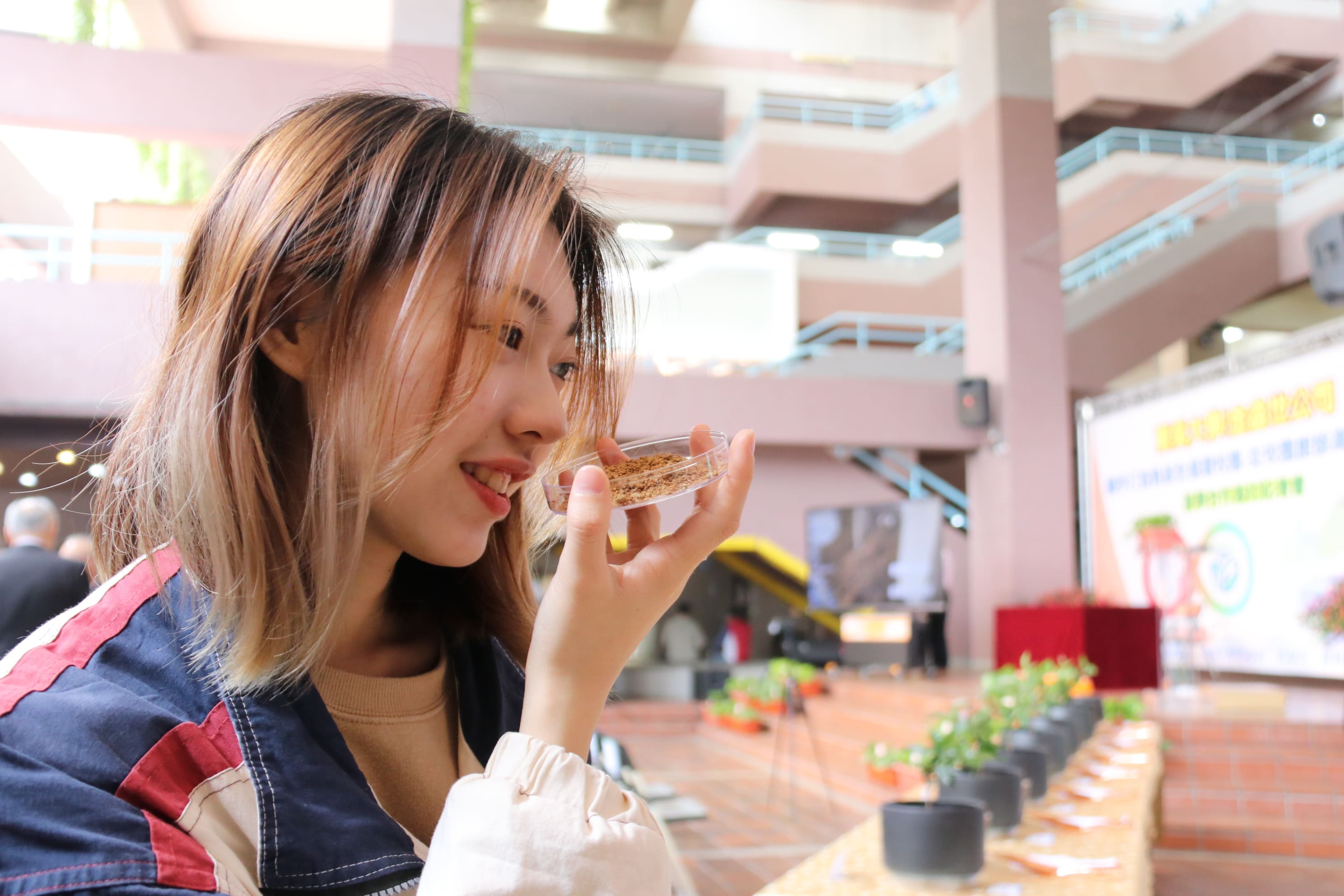 圖片標題:圖四、廚餘轉化成無臭益菌土