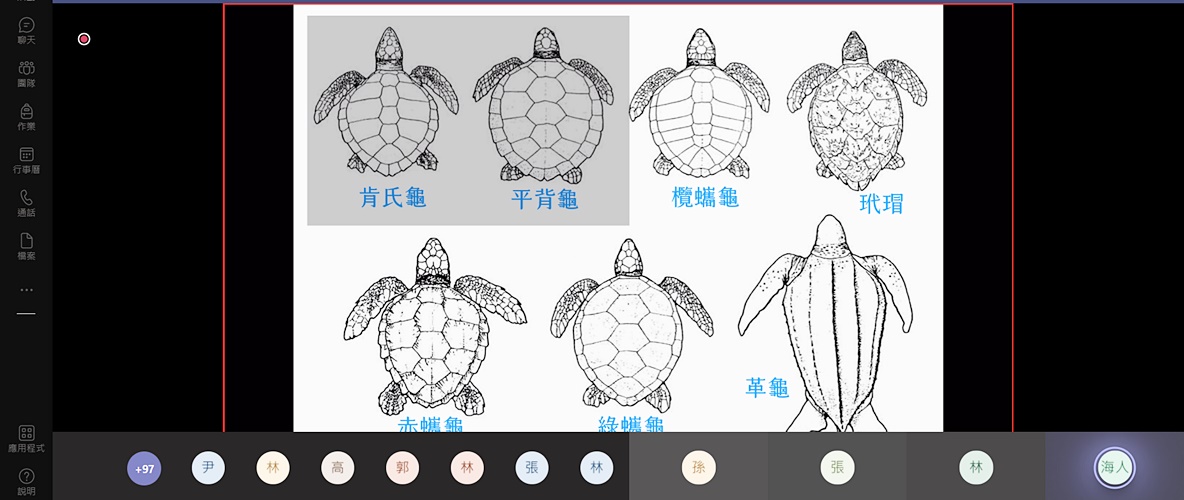 圖片標題:02陳人平介紹全球海龜種類