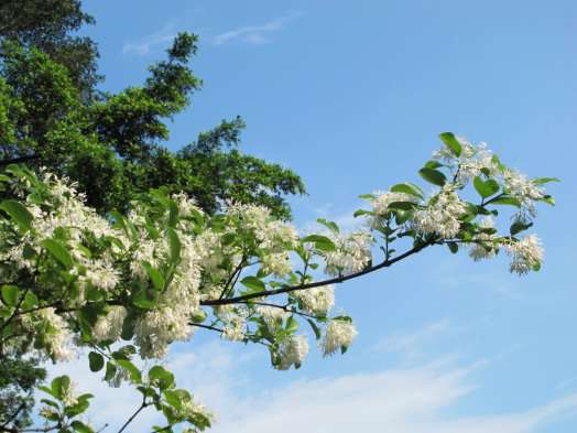 圖片標題:fea79d0dd8de283340cbe1b185164eda53935532