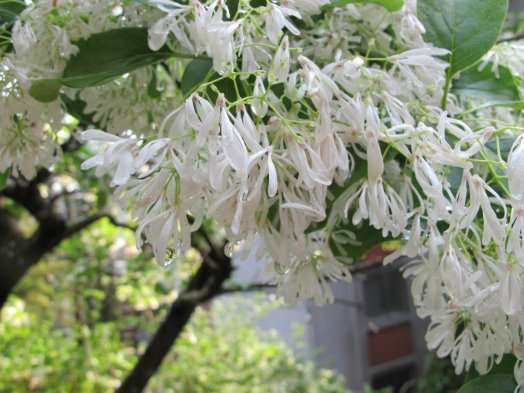 圖片標題:0d71a455633cd7871d66f7c23306e50217a903fb