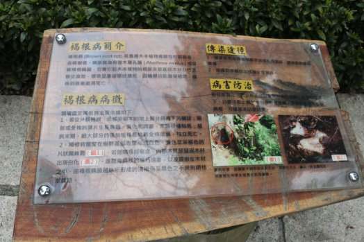 圖片標題:e93700f4360826ec81c3625e001fddf8978a0bba