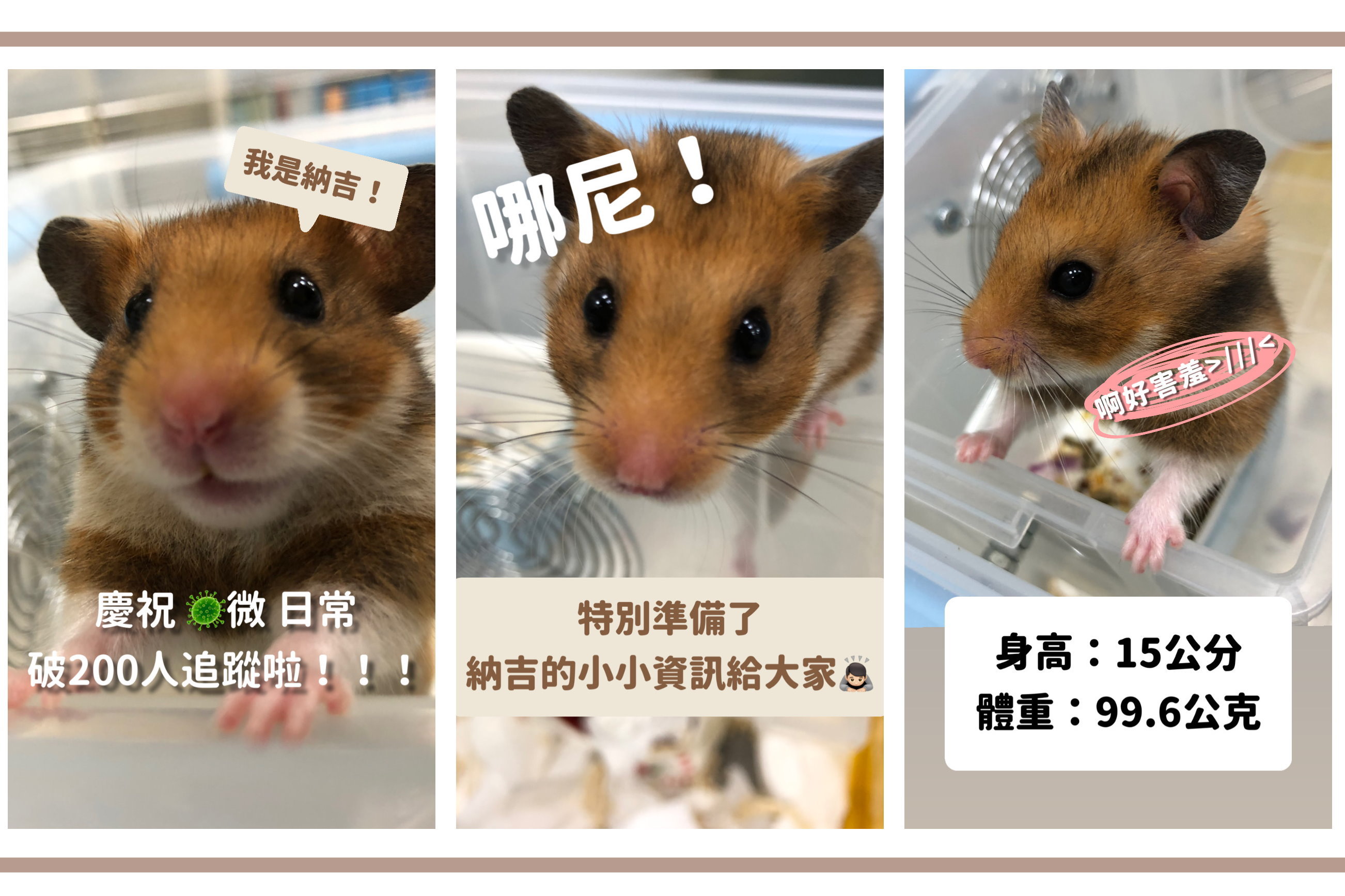 圖片標題:圖一、東吳微生物學系IG「微日常」以納吉當主角，介紹微生物小知識，日前歡慶粉絲突破200人