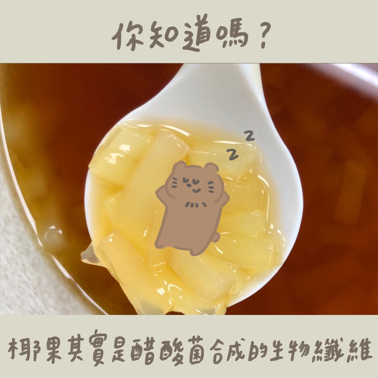 圖片標題:圖五、「你知道嗎？」系列，以納吉為插畫，說明鮮為人知的微生物的冷知識。