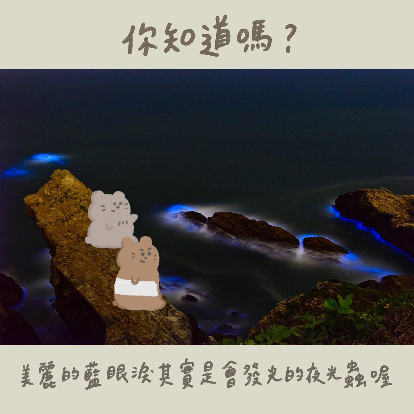 圖片標題:圖六、世界奇景藍眼淚真正的身分是夜光蟲