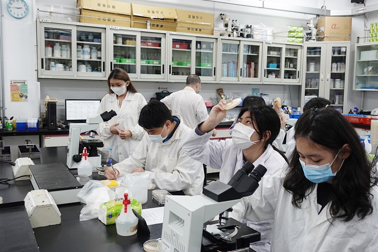 圖片標題:圖四微生物系