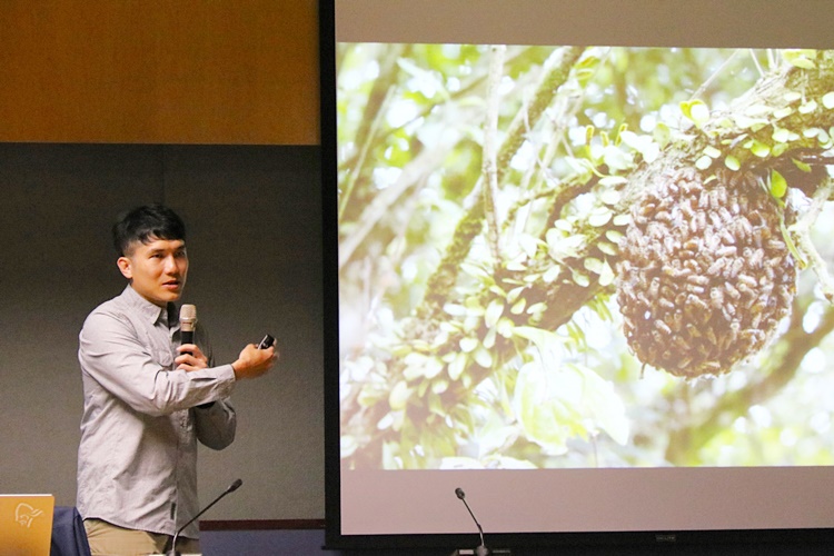 圖片標題:04 雪羊老師介紹淡蘭古道沿路景致，集結的蜂群