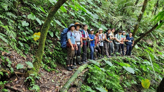 圖片標題:03枋山坑古道破碎地形以木樁架出棧道_batch