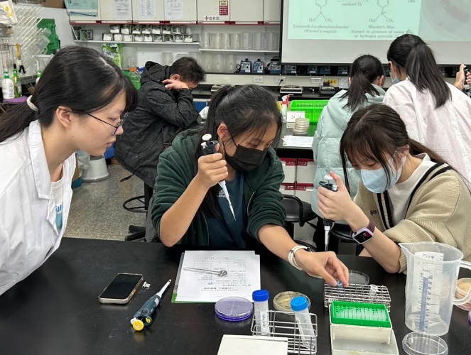 圖片標題:batch_圖9