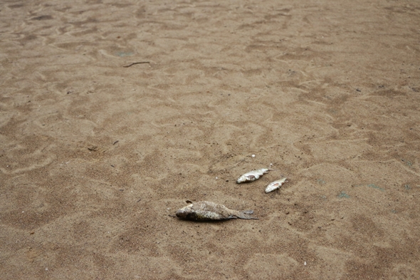 圖片標題:IMG_2612