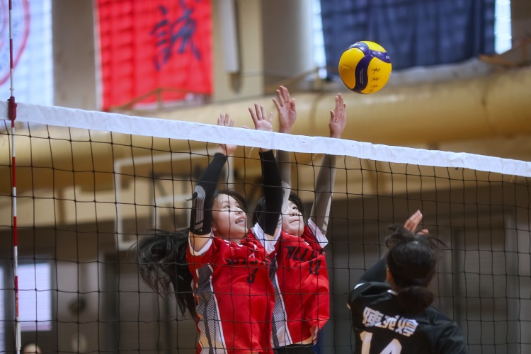 圖片標題:batch_KRSL3095