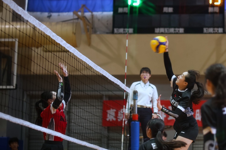 圖片標題:batch_KRSL3127