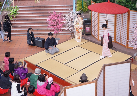 圖片標題:DSC01210