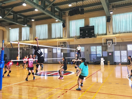 圖片標題:05 女排扣球