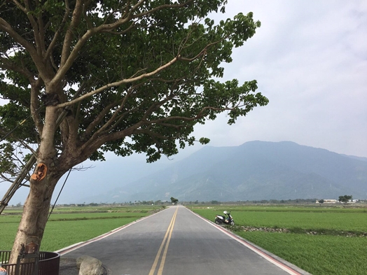 圖片標題:29250609_2007625479249771_21075050_o