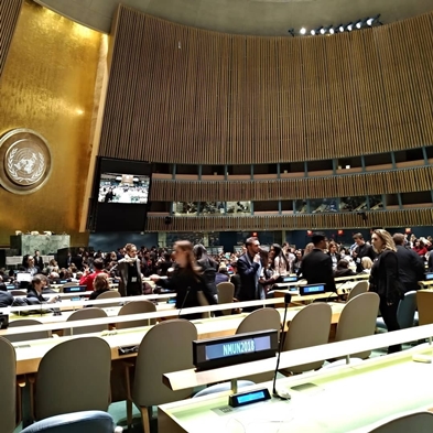 圖片標題:模聯6