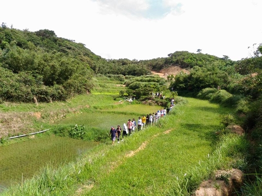 圖片標題:07 農田導覽