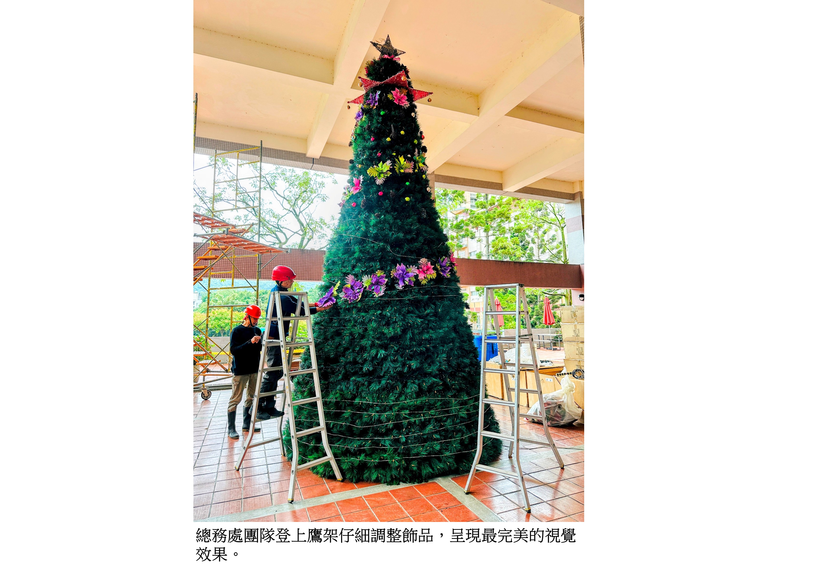 圖片標題:冬日聖誕暖光2