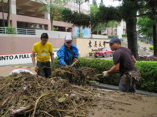 圖片標題:9.如山枯枝有待清理.JPG