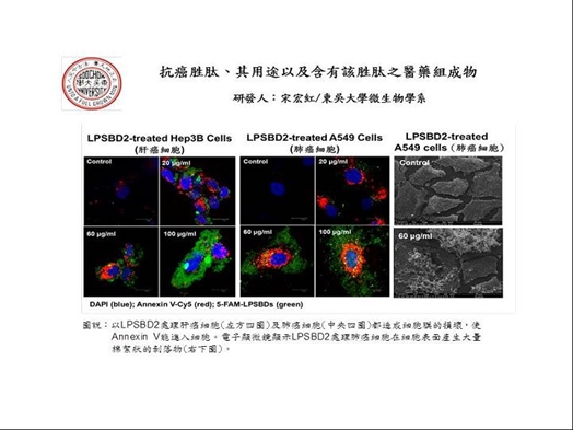 圖片標題:05發明專利序號5代表圖式.jpg